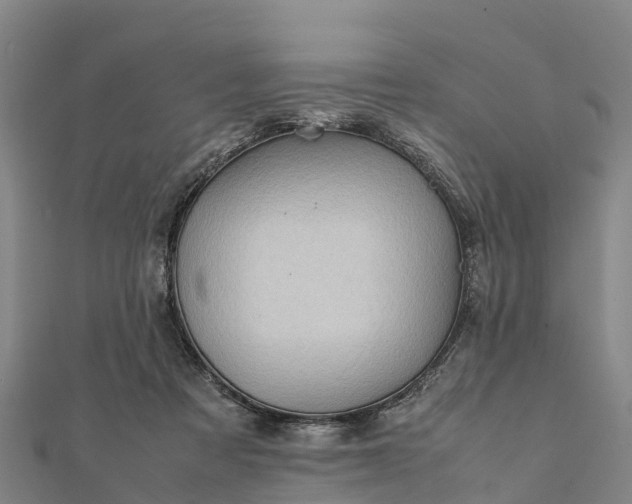 X0000112090313200908181309