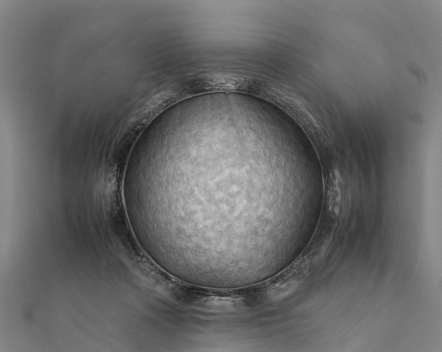 X0000112090314200908181309