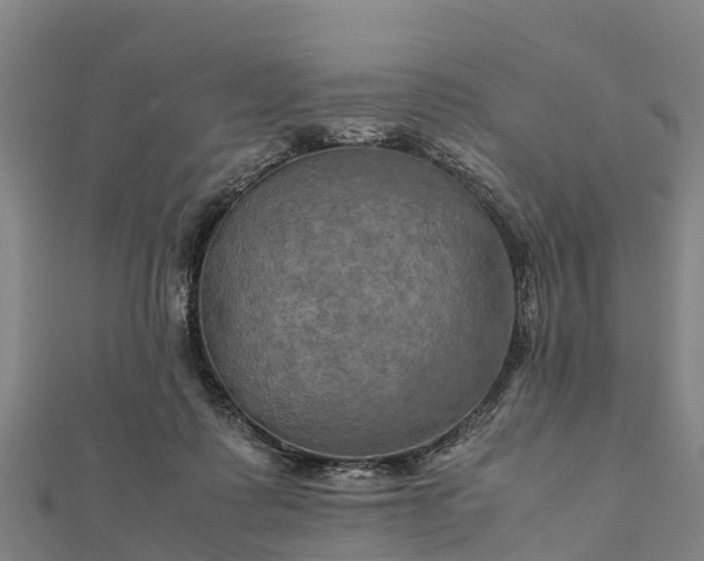 X0000112090315200908181309