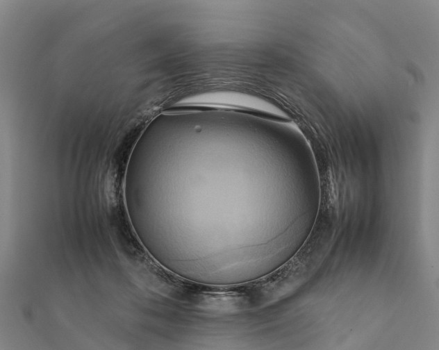 X0000112090316200908181309