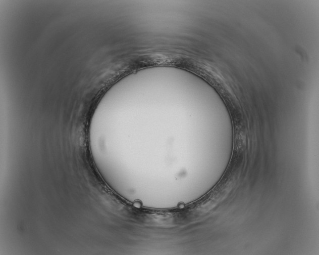 X0000112090317200908181309