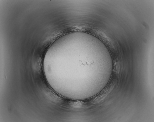 X0000112090318200908181309