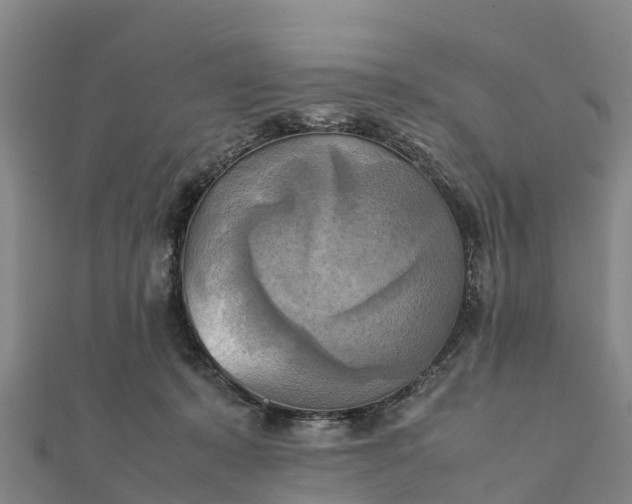 X0000112090319200908181309