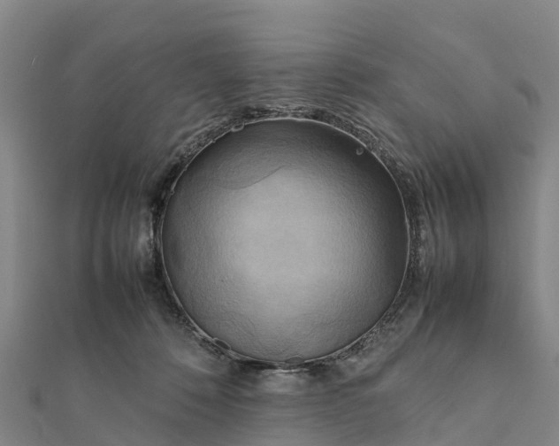 X0000112090320200908181309