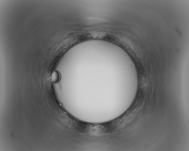 X0000112090321200908181309