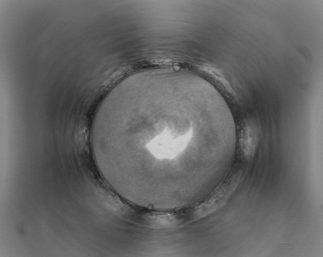 X0000112090322200908181309