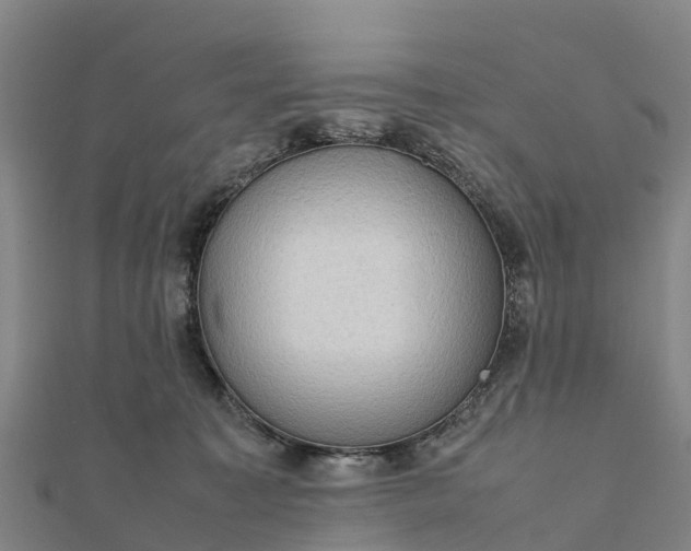 X0000112090323200908181309