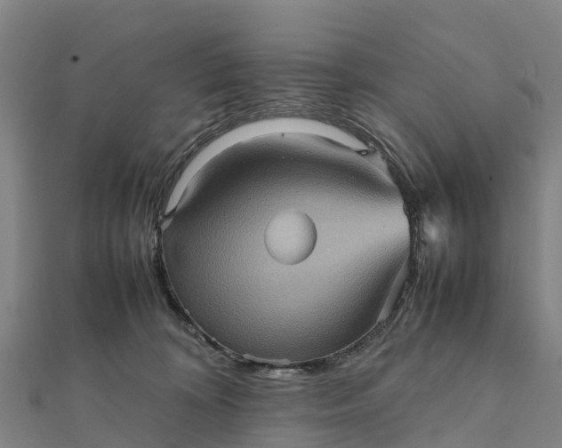 X0000112090324200908181309