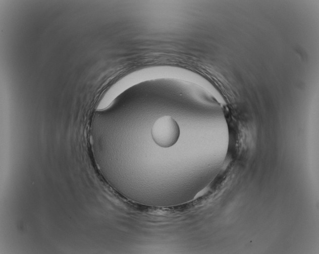 X0000112090325200908181309