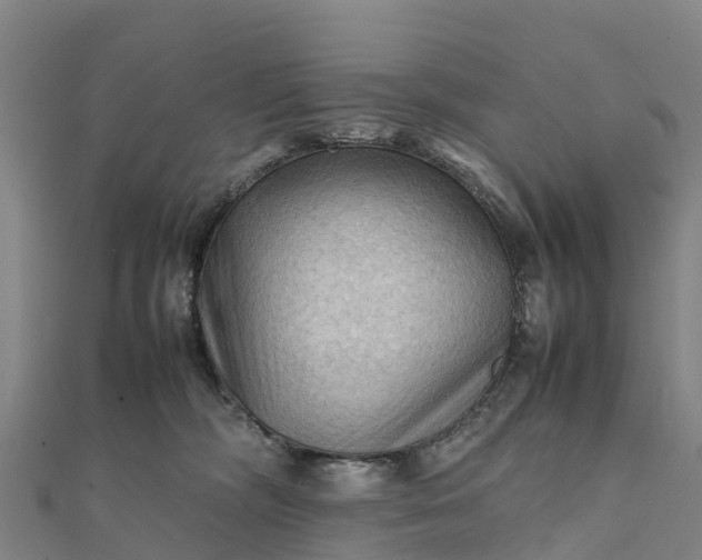 X0000112090326200908181309