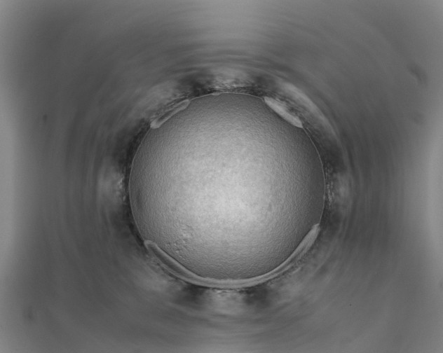 X0000112090327200908181309