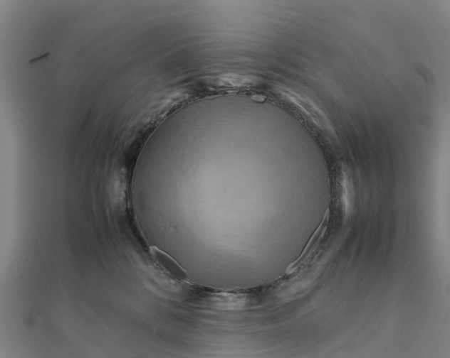 X0000112090328200908181309