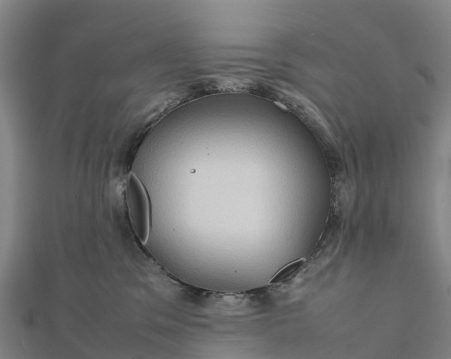 X0000112090329200908181309