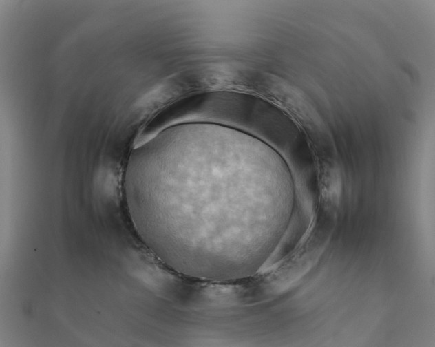 X0000112090332200908181309