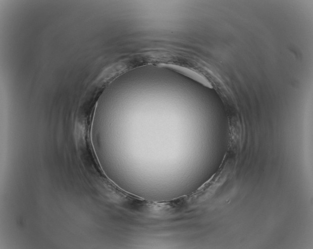 X0000112090333200908181309