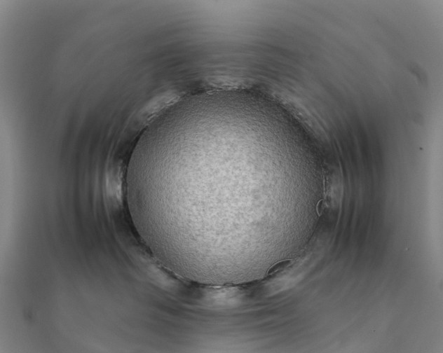 X0000112090334200908181309