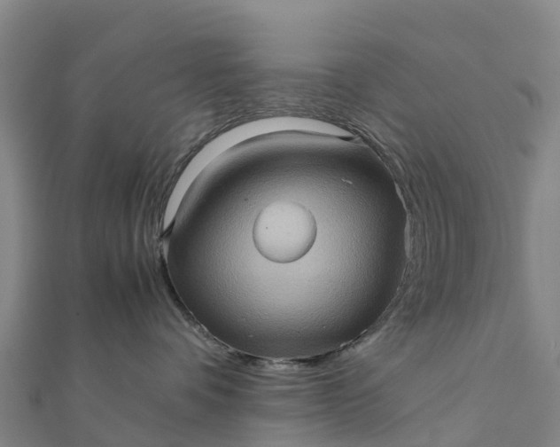 X0000112090336200908181309