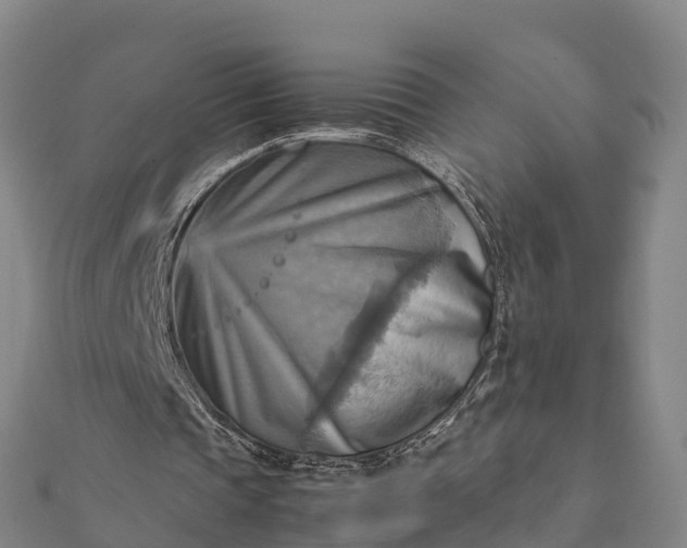 X0000112090337200908181308