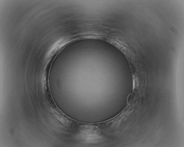 X0000112090339200908181308