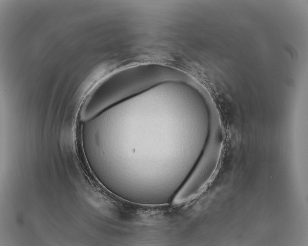 X0000112090340200908181308