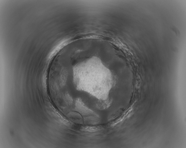 X0000112090341200908181308