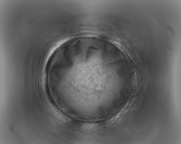 X0000112090342200908181308