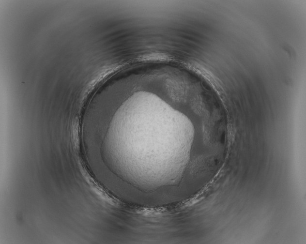 X0000112090345200908181308