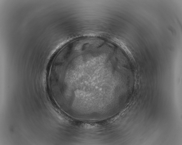 X0000112090346200908181308