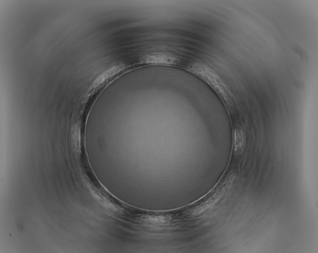 X0000112090349200908181308