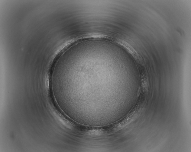 X0000112090350200908181308