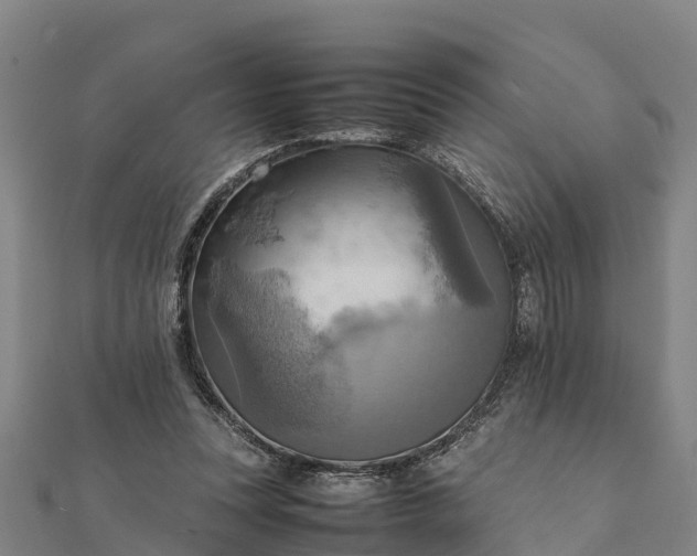 X0000112090351200908181308