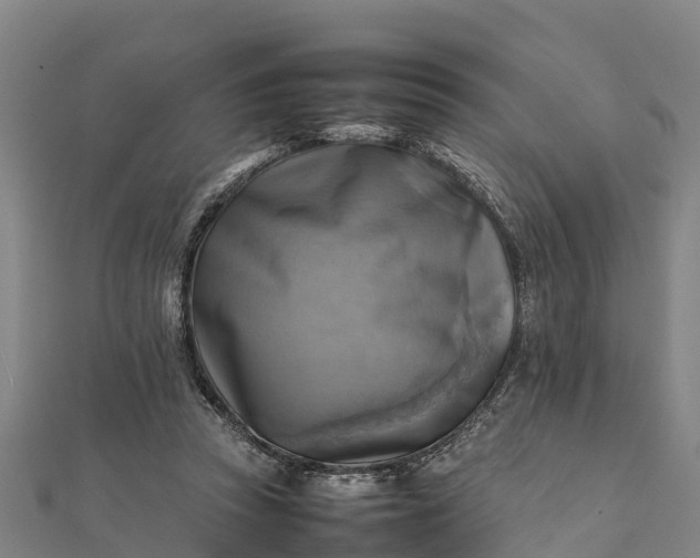 X0000112090353200908181308