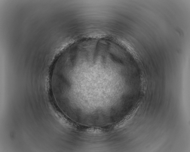 X0000112090354200908181308