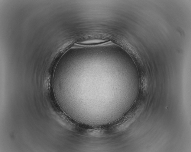 X0000112090356200908181308