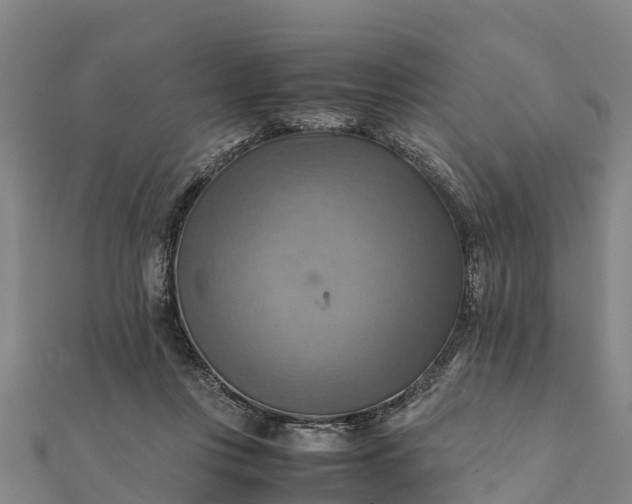 X0000112090359200908181308