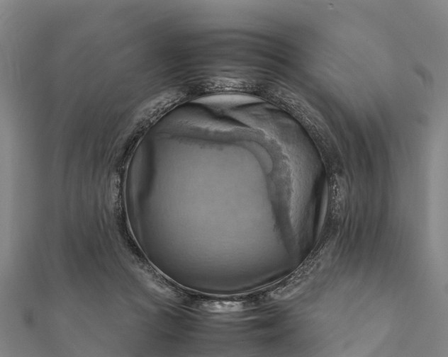 X0000112090361200908181308