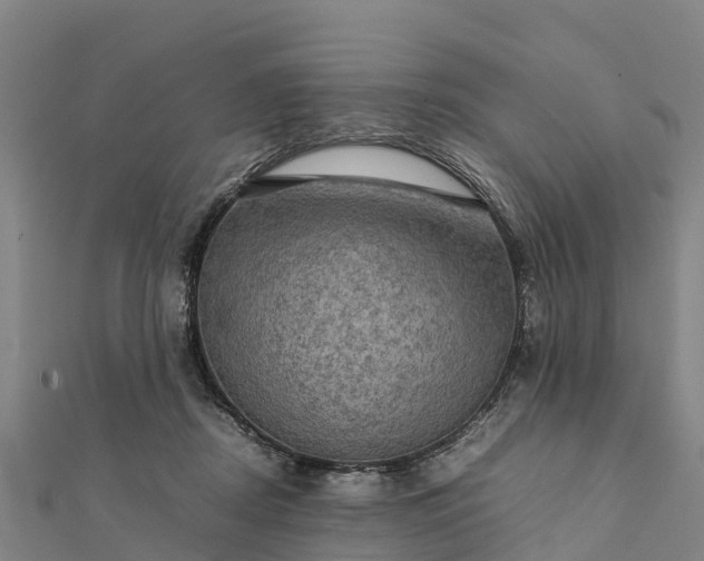 X0000112090362200908181308