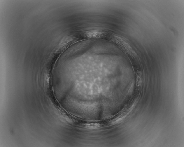 X0000112090363200908181308