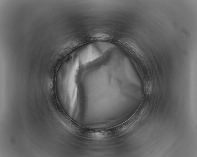 X0000112090365200908181309