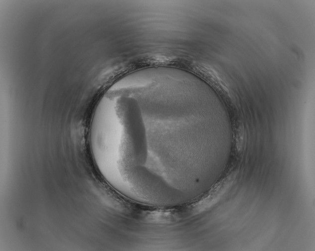 X0000112090366200908181309