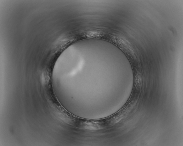 X0000112090367200908181309