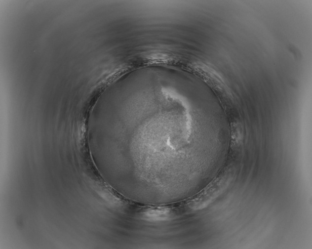 X0000112090369200908181309