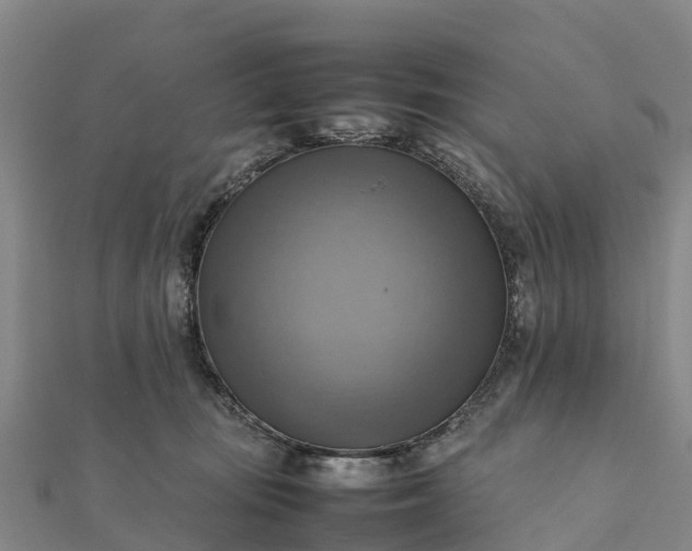 X0000112090371200908181309