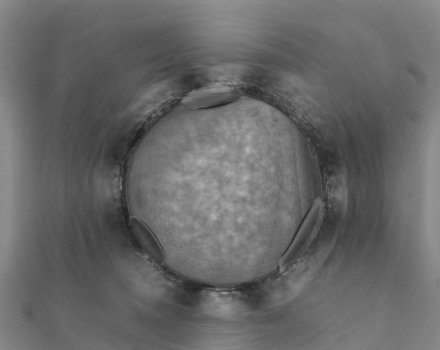 X0000112090372200908181309