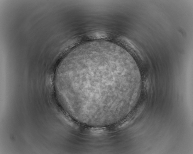 X0000112090373200908181309