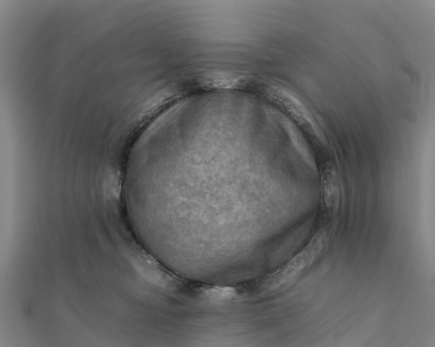 X0000112090374200908181309