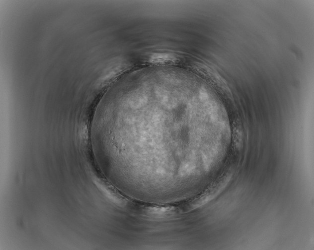 X0000112090375200908181309