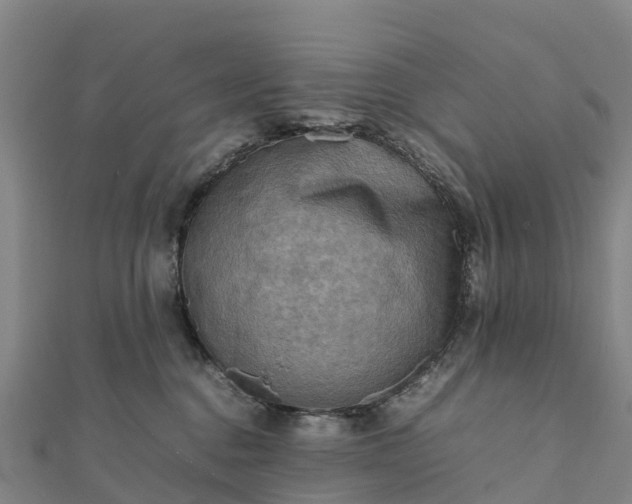 X0000112090376200908181309