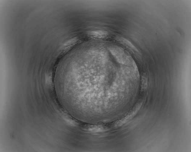 X0000112090377200908181309