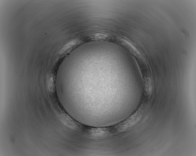 X0000112090378200908181309